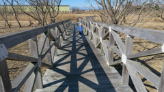 湿原の散歩道