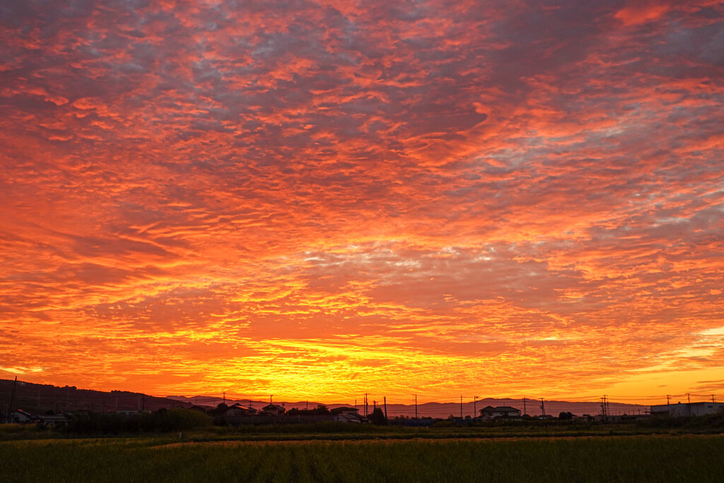 紅色の朝焼け