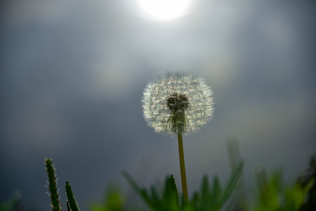 朧げ