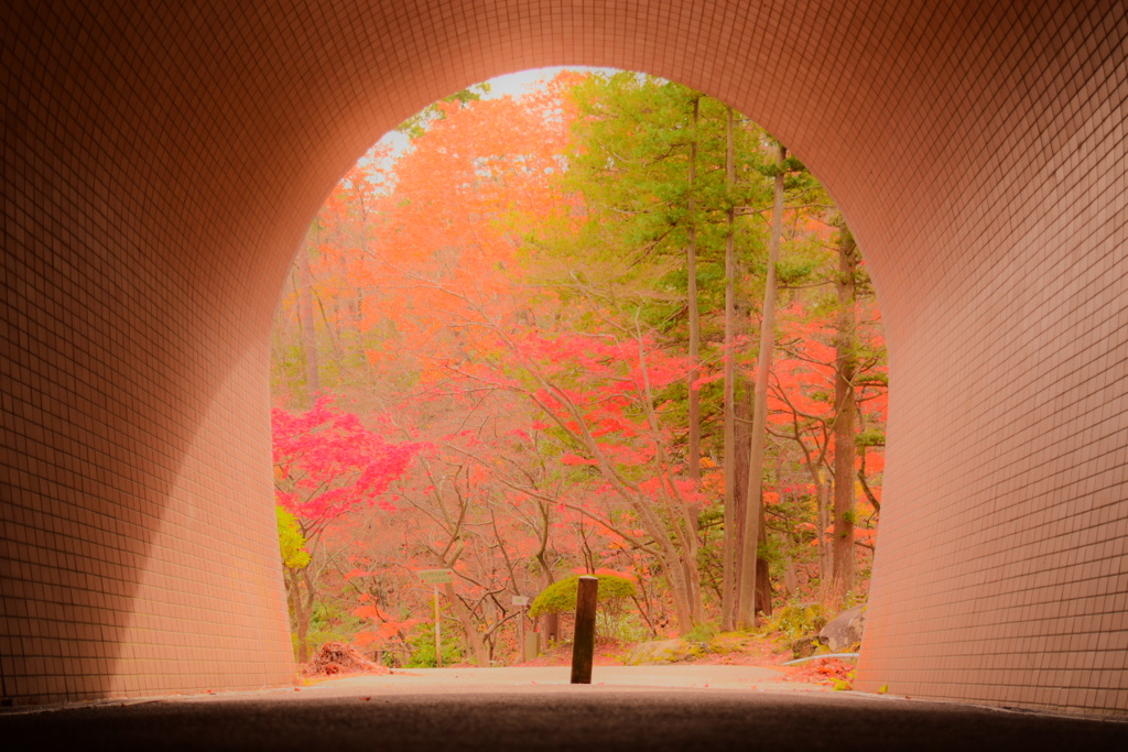 トンネルをぬけると