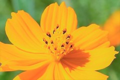 そして、こちらも