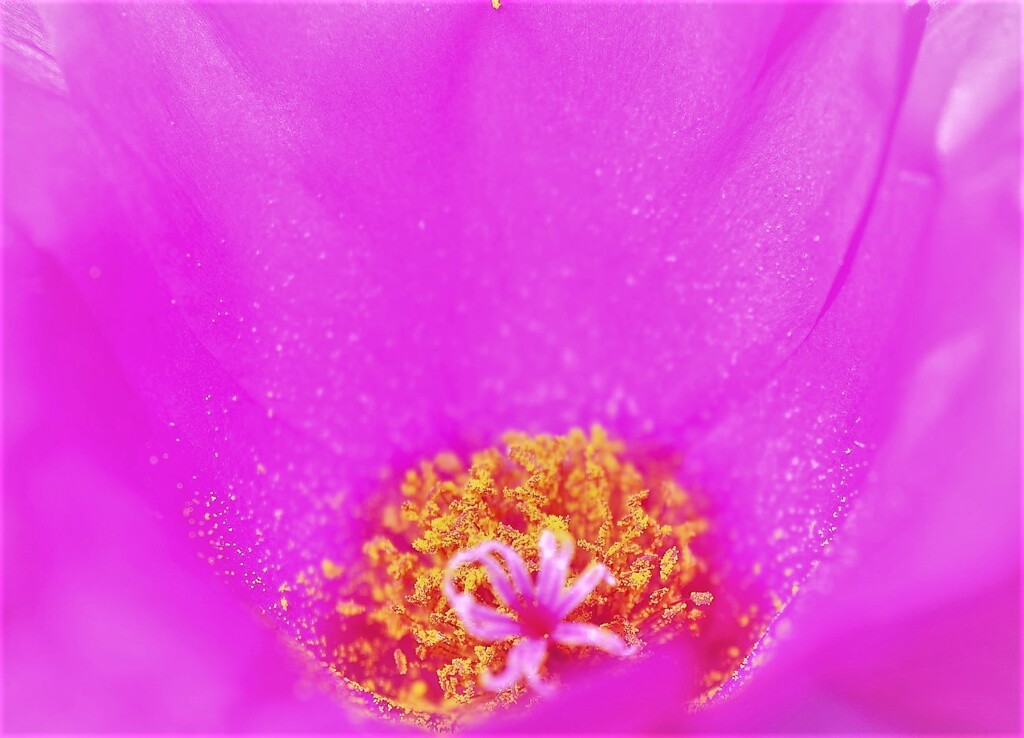 ファインダー越しの世界
