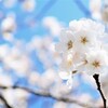 笑顔