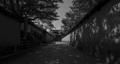 ひと時の静けさ