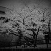 時　流れる
