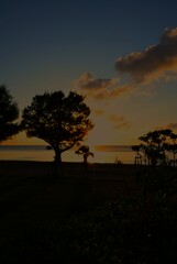 夕陽が射し込む２