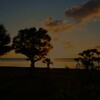 夕陽が射し込む２