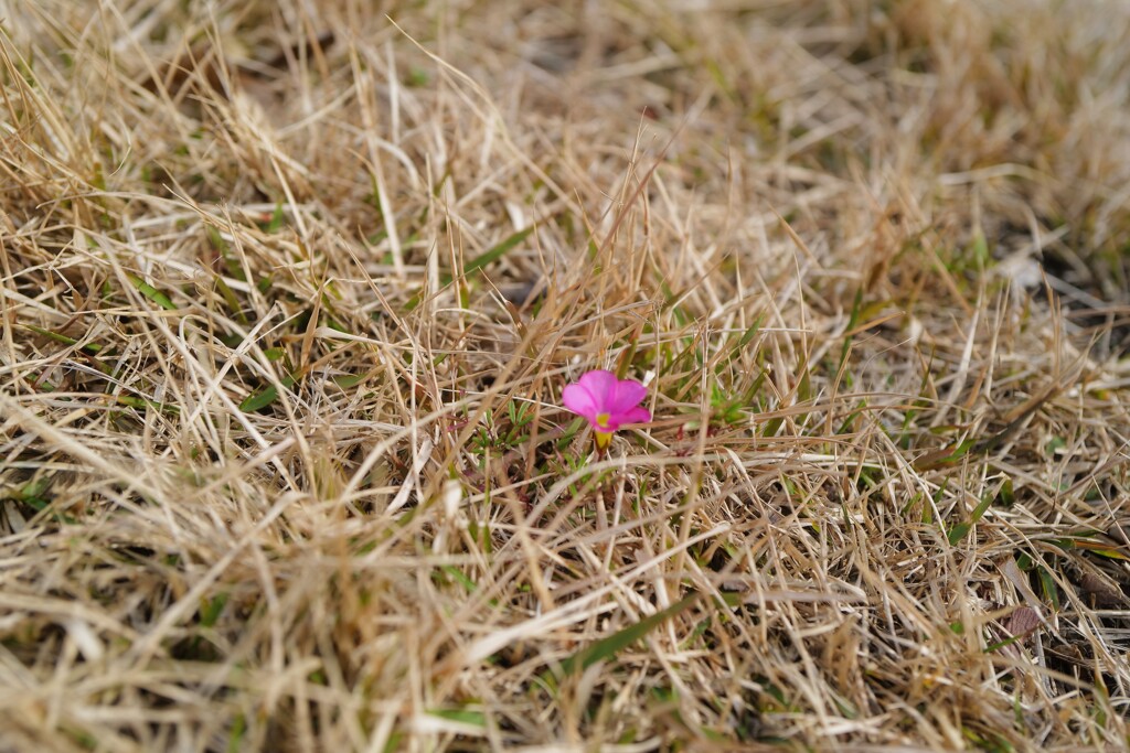 気付いて下さいよ