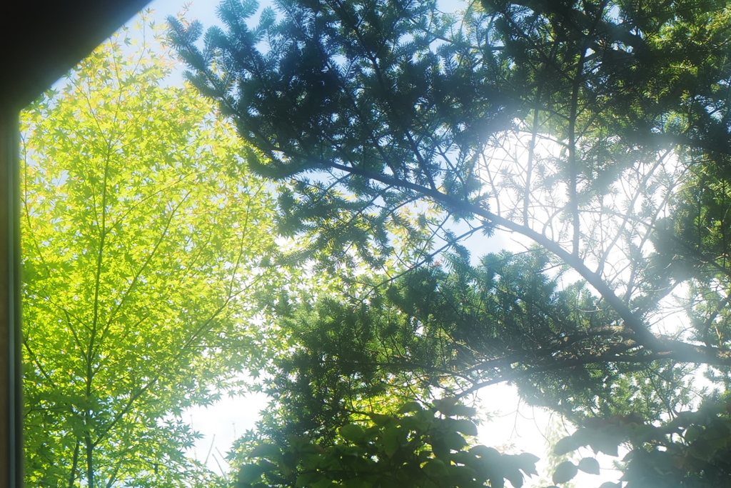 秋風の予感