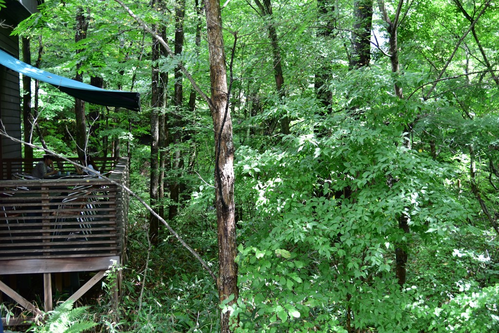 中軽井沢での一コマ