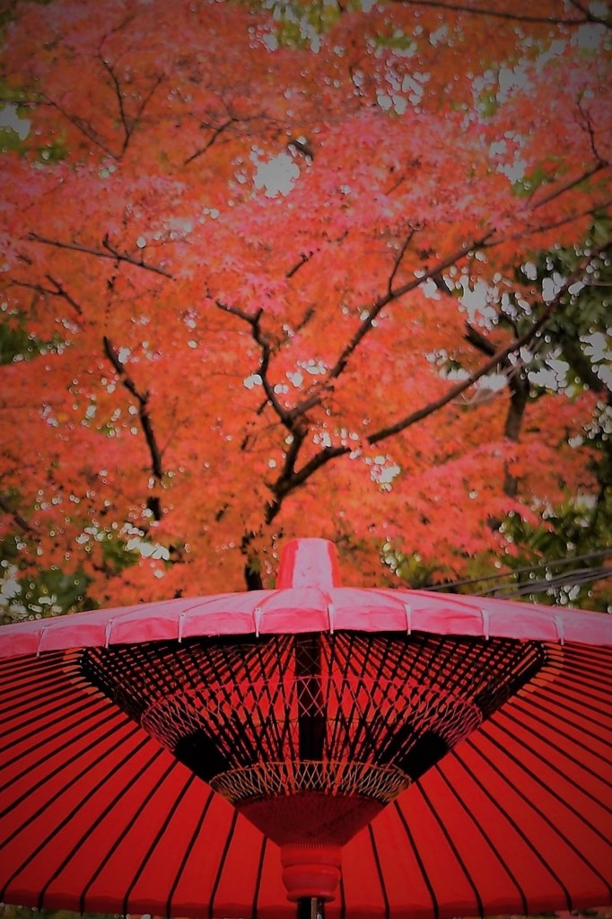 友泉亭～朱と深紅