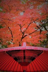 友泉亭～朱と深紅
