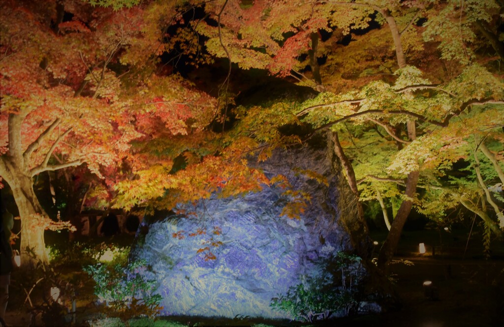 宝厳院~5