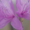 雨のち曇り