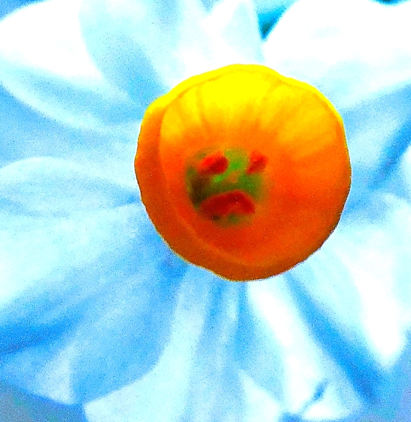 異彩