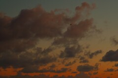 動きの早い雲