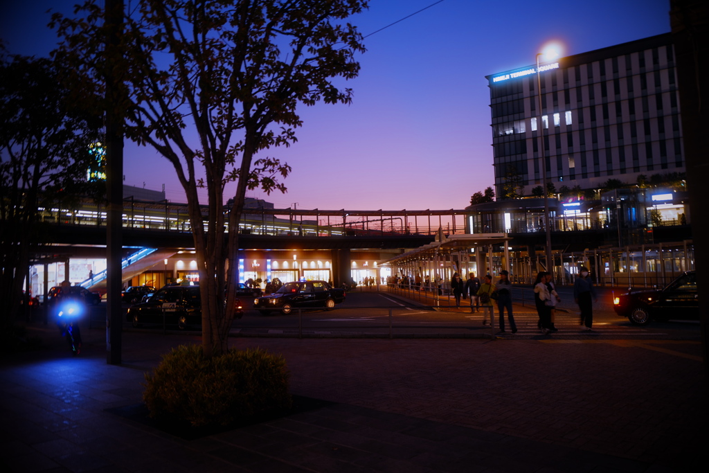 姫路駅夕景