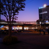 姫路駅夕景