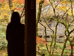 今年の光明禅寺～何を想う