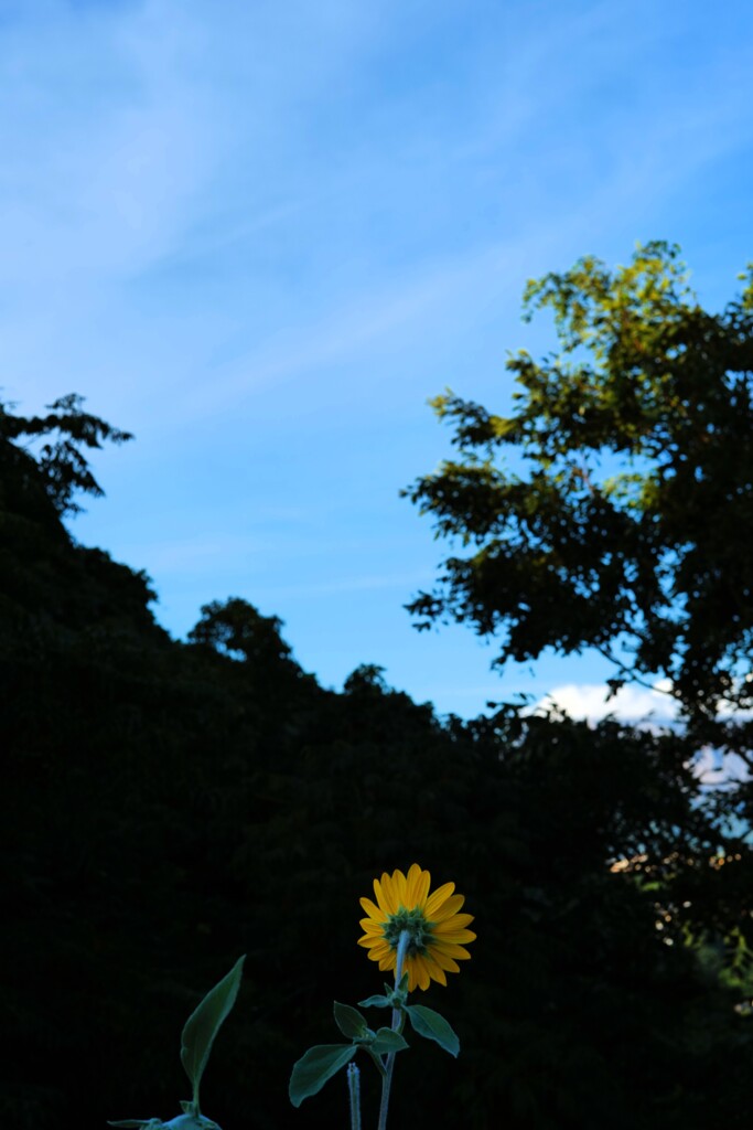 夏の気配