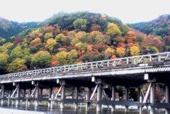 渡月橋の秋