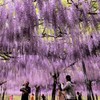 君はどんな色に染まるかな？