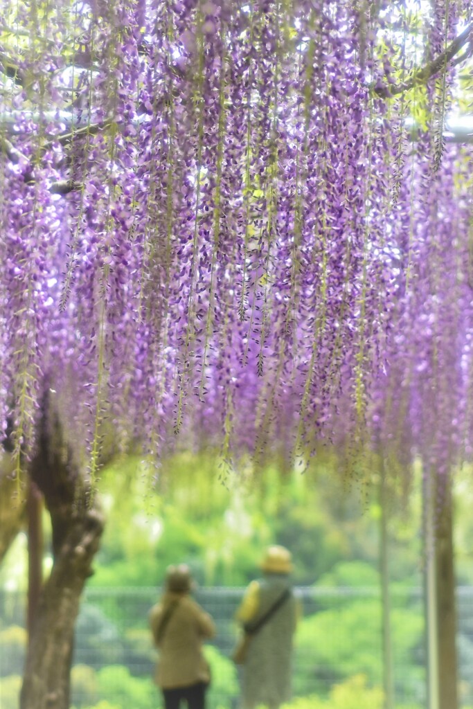 ささやかな人生