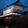 鶴丸城跡