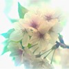 想い