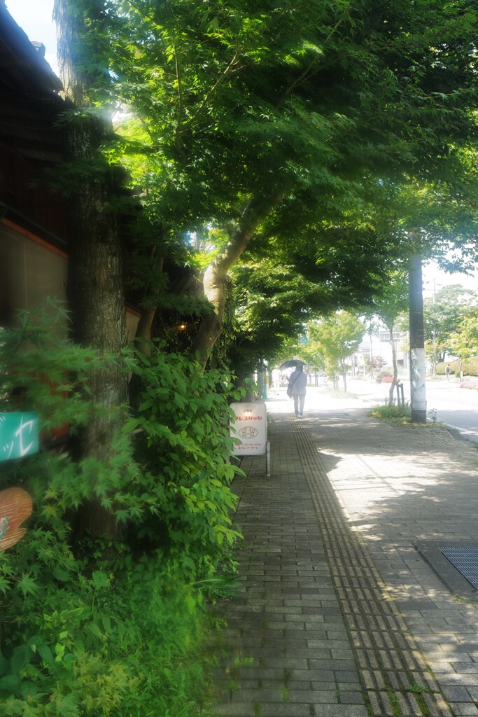 国道18号線散歩