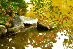 様々な秋模様