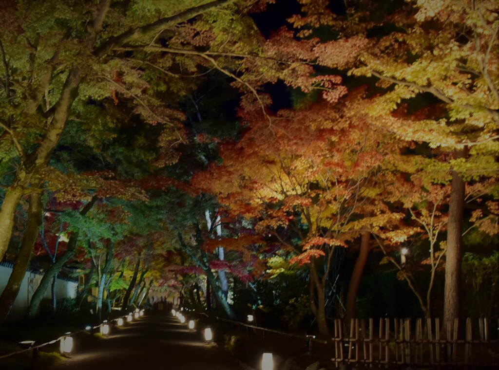 宝厳院~2