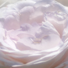 薔薇道3