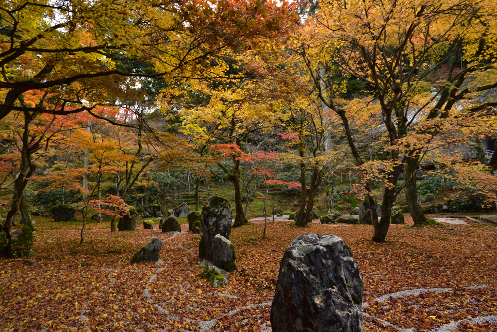 今年の光明禅寺～1