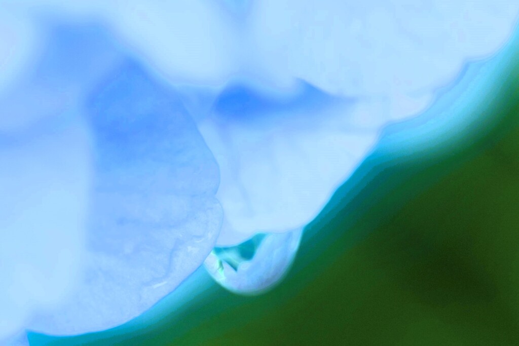 蒼の時間～滴