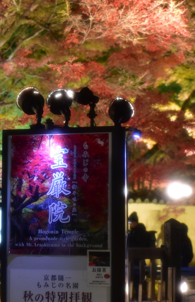 宝厳院~3