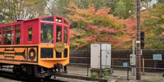 嵯峨野 嵐山 散策~3