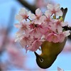 春の訪れ