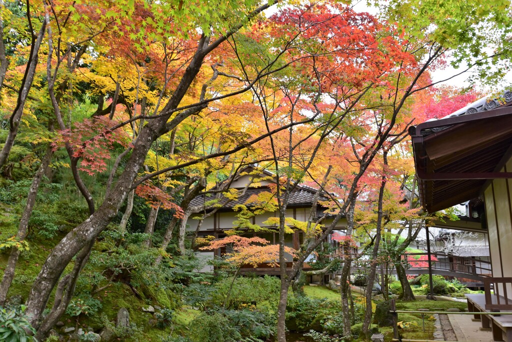 常寂光寺~12