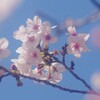 入学式の記憶