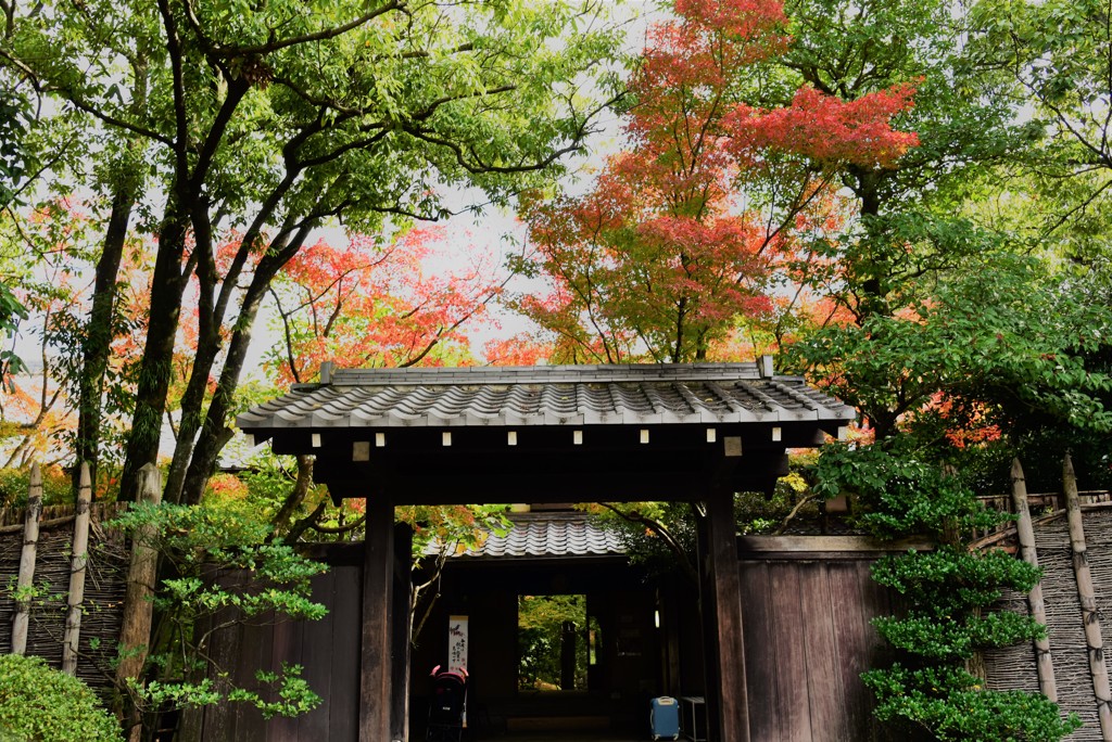 門から中へ入ってのお楽しみ