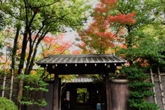 門から中へ入ってのお楽しみ