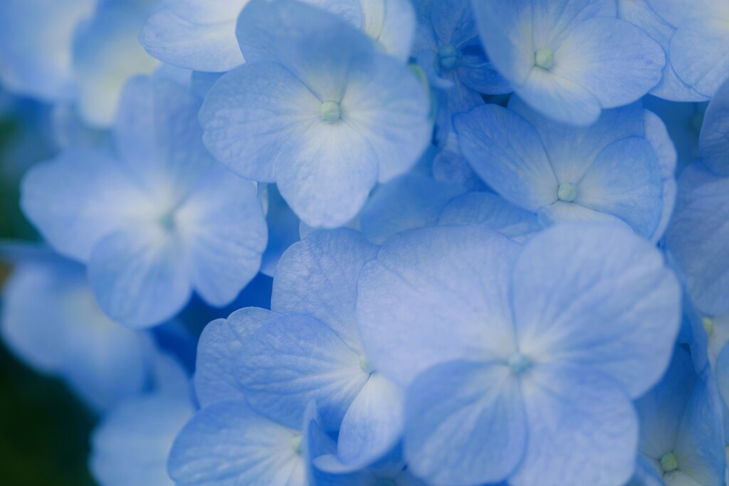 蒼の時間～梅雨