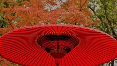 友泉亭～晩秋2
