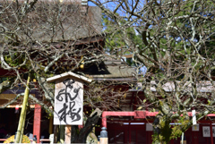 大宰府の秋～10