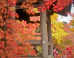 常寂光寺~10