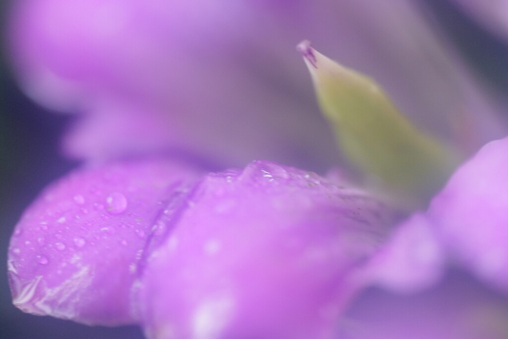 雨の1日