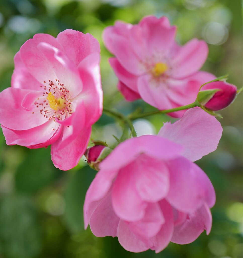 短い時間の中で