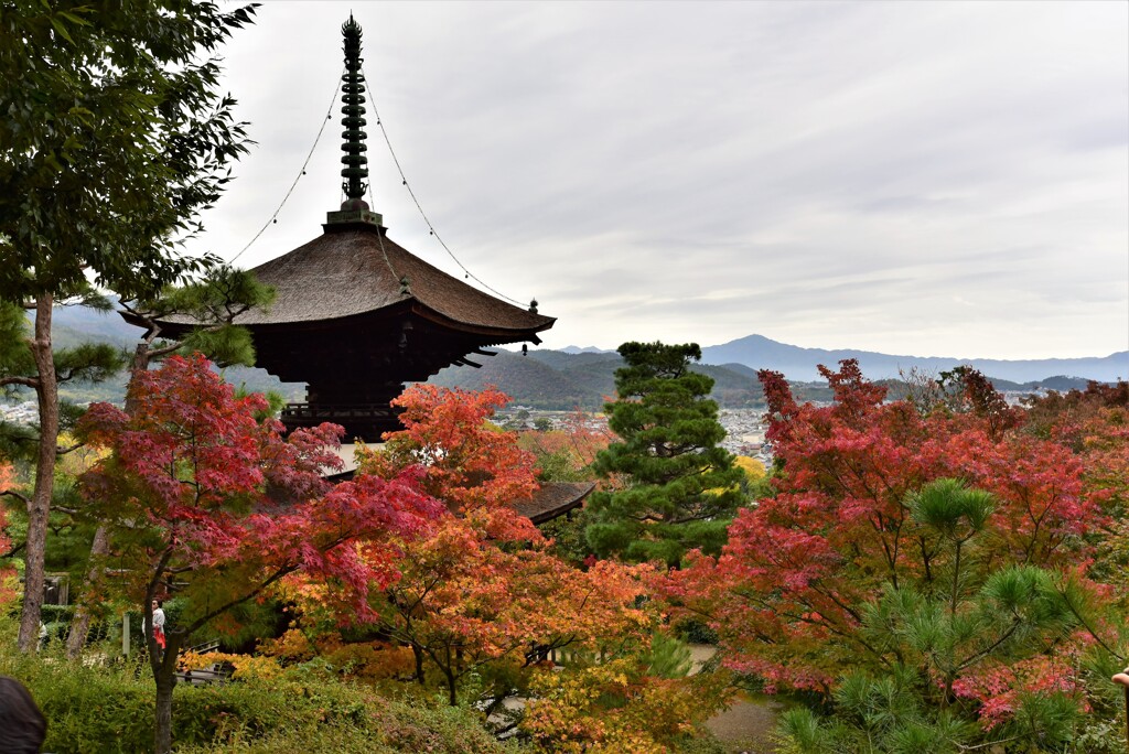 常寂光寺~11