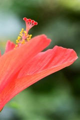福岡市植物園3
